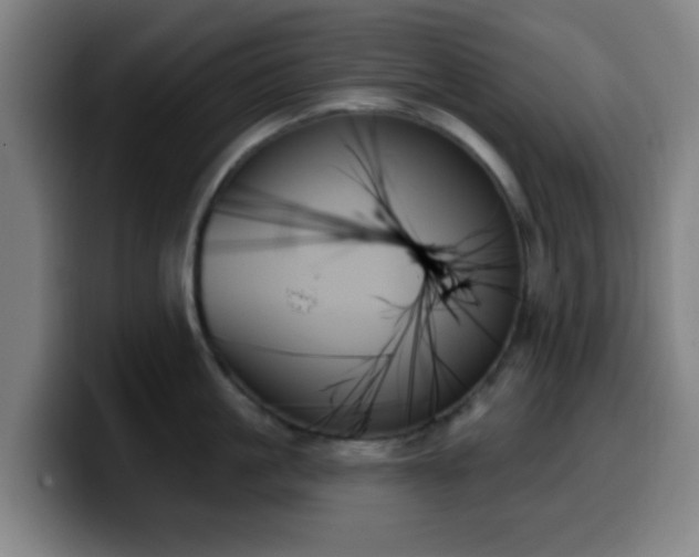X0000099950861200805301235