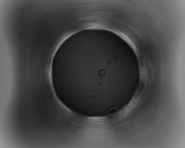 X0000099950863200805301235
