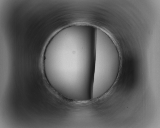 X0000099950864200805301235