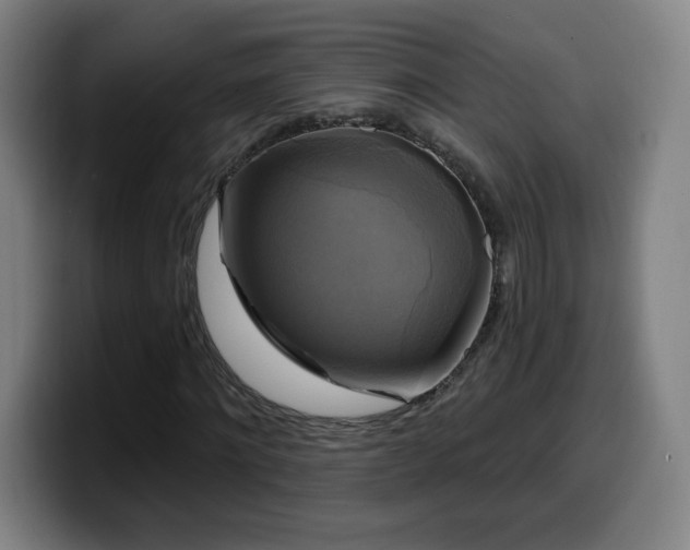 X0000099950868200805301234