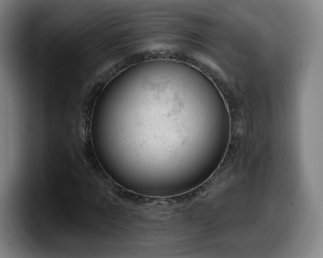 X0000099950869200805301234