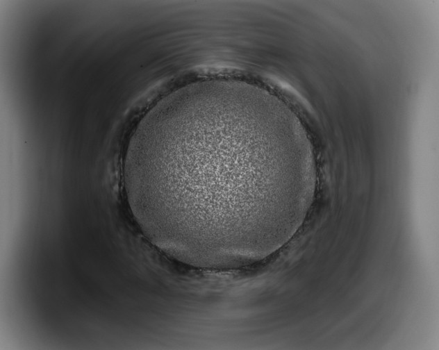 X0000099950870200805301234