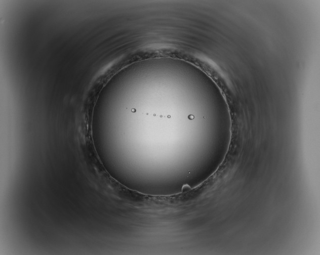 X0000099950871200805301234
