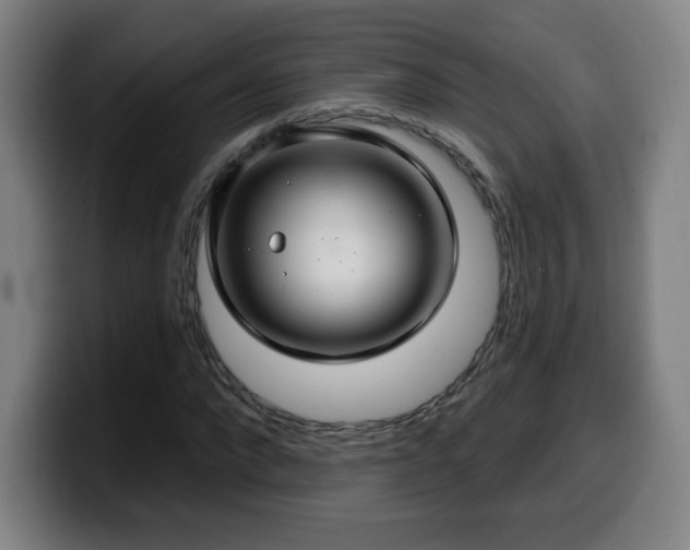 X0000099950872200805301234