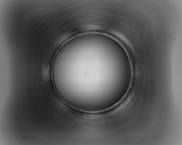 X0000099950873200805301234