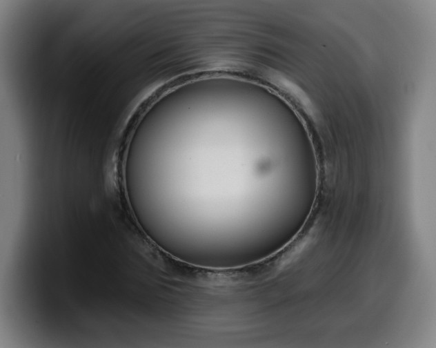 X0000099950875200805301234