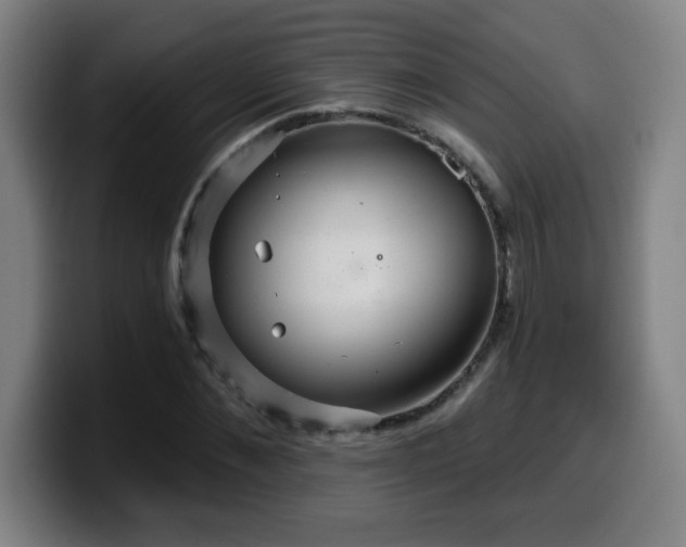 X0000099950876200805301234