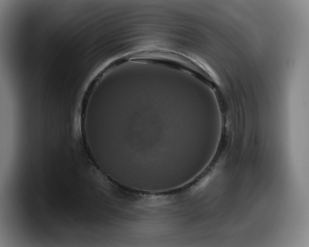 X0000099950877200805301234
