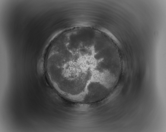 X0000099950878200805301234