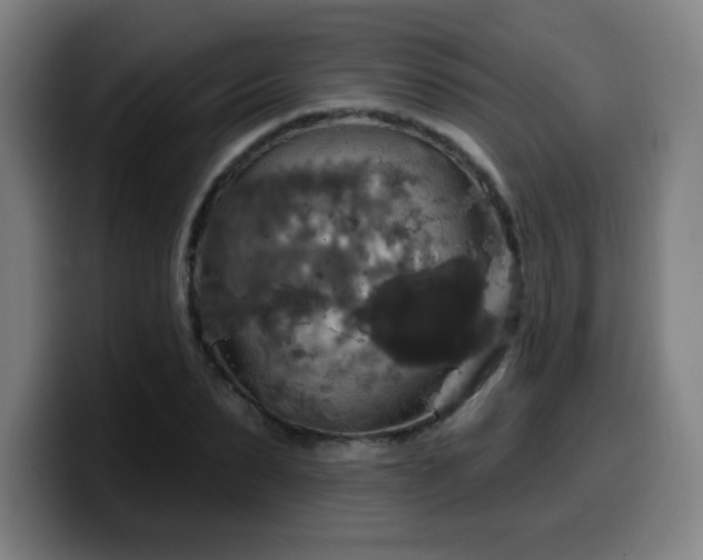 X0000099950879200805301234