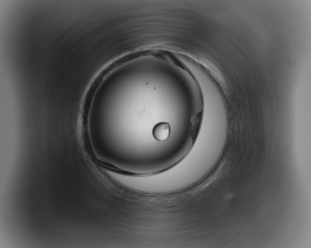 X0000099950880200805301234