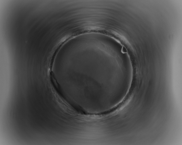 X0000099950881200805301234