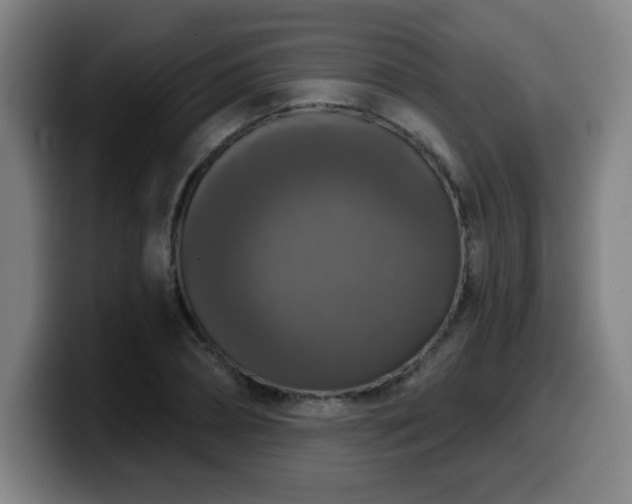 X0000099950882200805301234