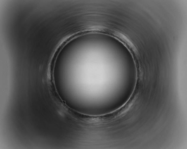 X0000099950883200805301234