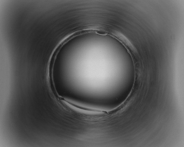 X0000099950884200805301234