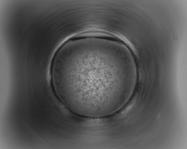 X0000099950885200805301234