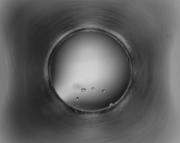 X0000099950887200805301234