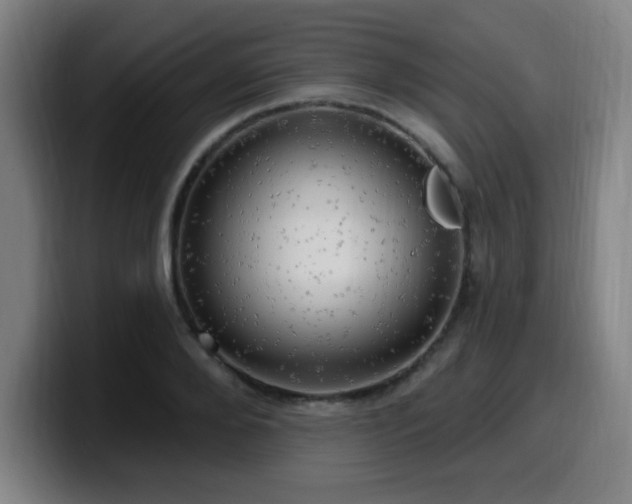 X0000099950888200805301234
