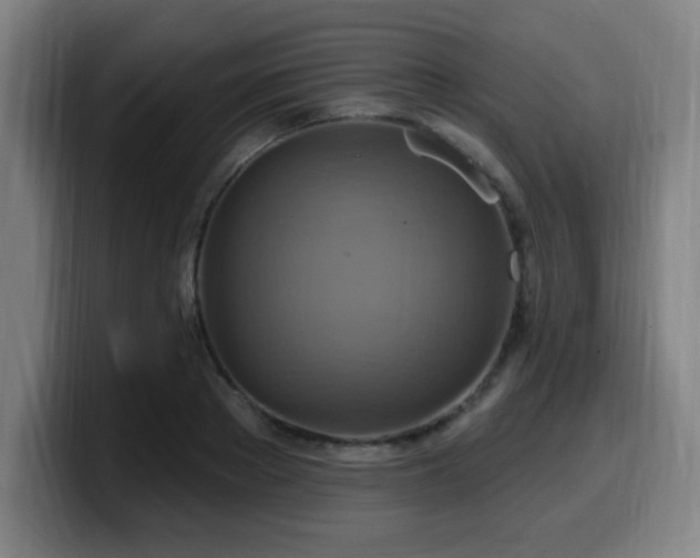 X0000099950889200805301234