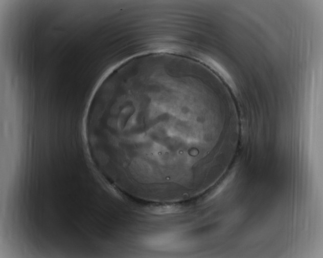 X0000099950891200805301234