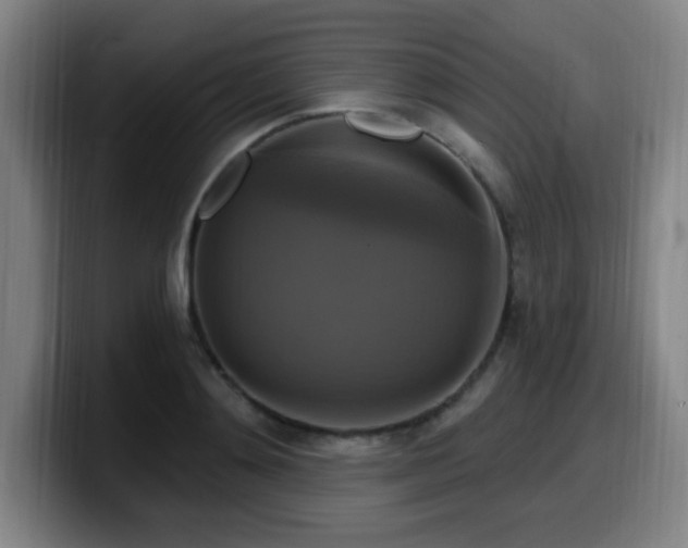 X0000099950892200805301234