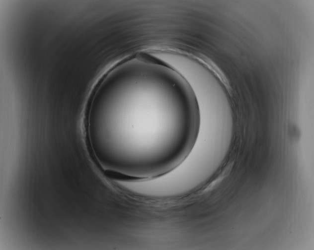 X0000099950893200805301234