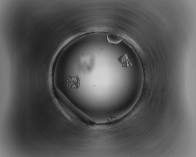 X0000099950894200805301234