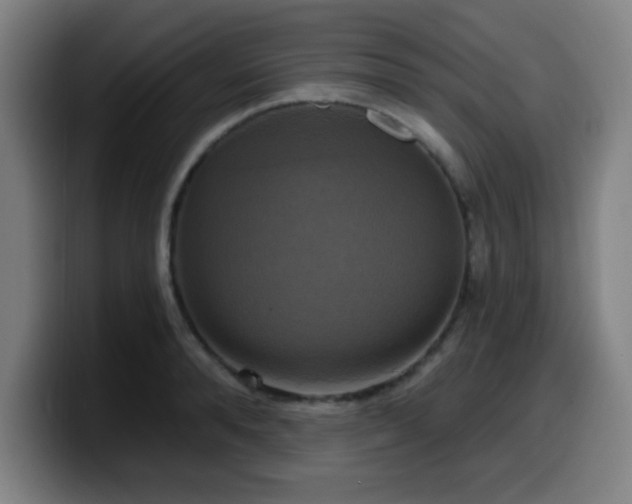 X0000099950896200805301234