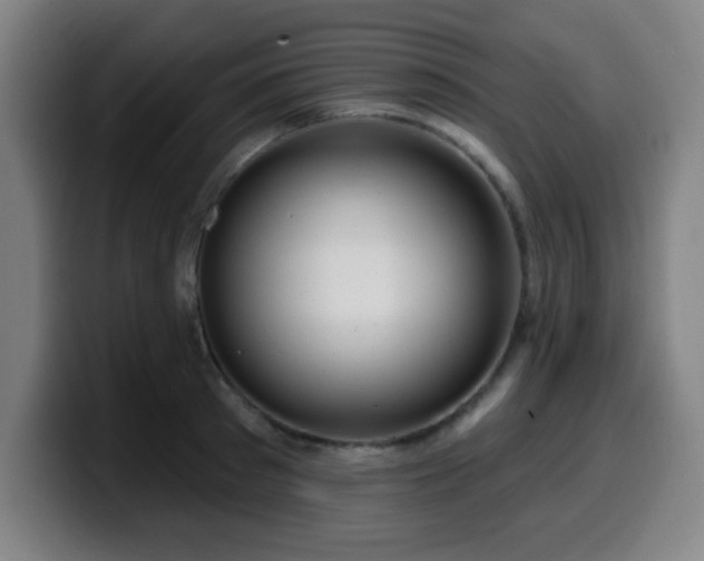 X0000099950897200805301234
