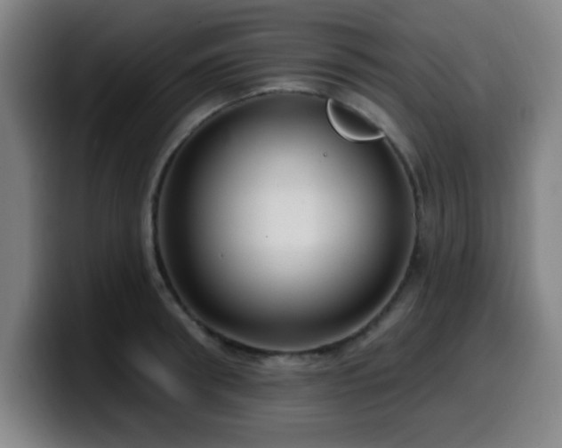 X0000099950898200805301234
