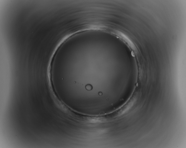 X0000099950899200805301234