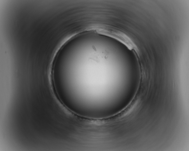 X0000099950901200805301234