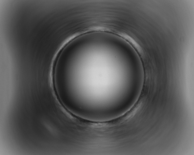 X0000099950902200805301234