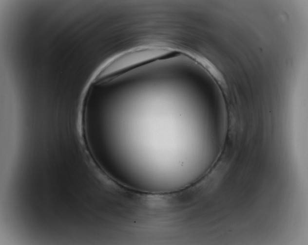 X0000099950904200805301234