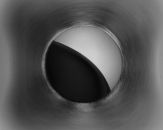 X0000099950909200805301234