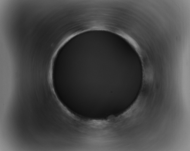 X0000099950910200805301234