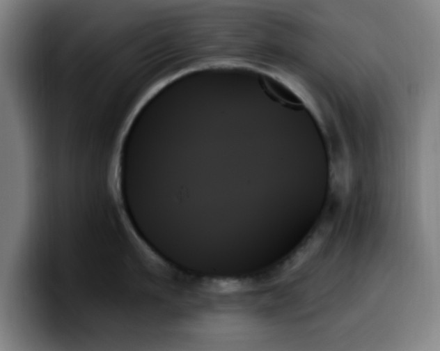 X0000099950911200805301234