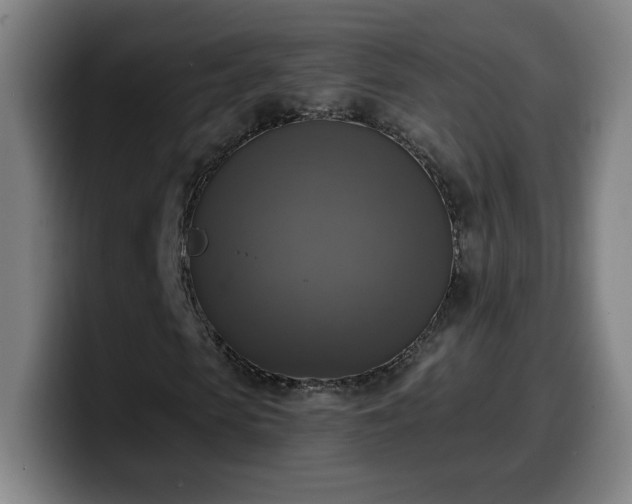 X0000099950913200805301233