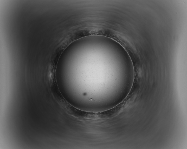 X0000099950914200805301233