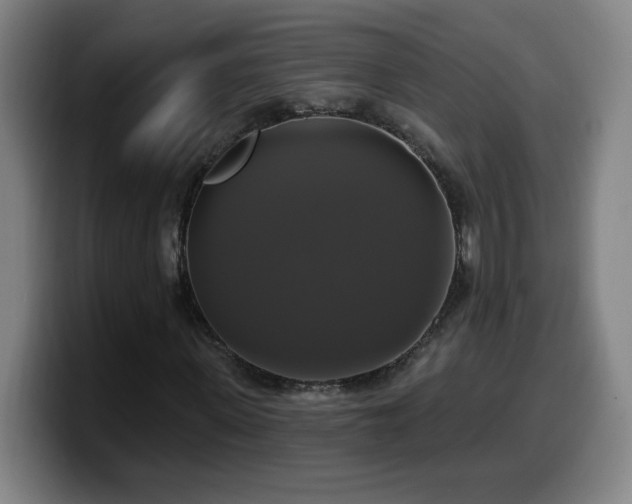 X0000099950915200805301233