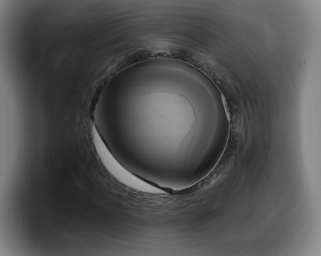 X0000099950916200805301233