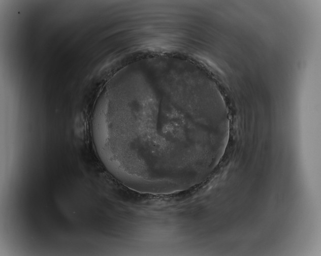 X0000099950917200805301233
