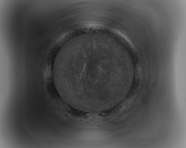 X0000099950918200805301233