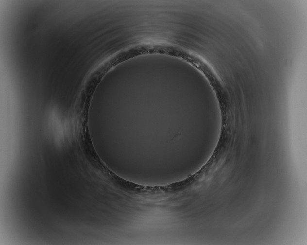 X0000099950919200805301233