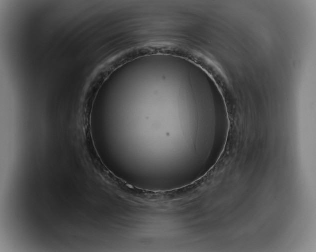 X0000099950920200805301233