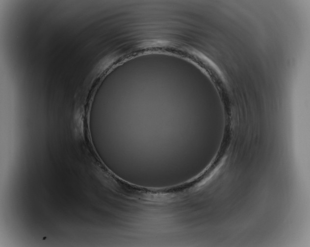 X0000099950921200805301233