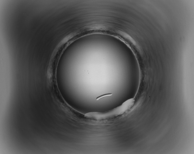 X0000099950922200805301233