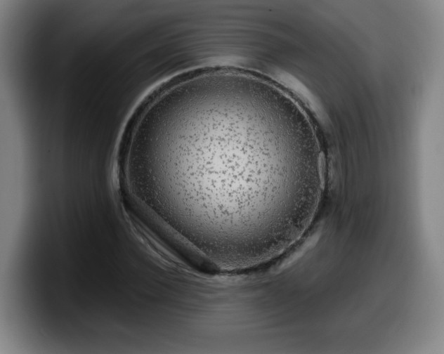 X0000099950924200805301233