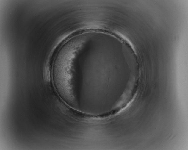 X0000099950925200805301233