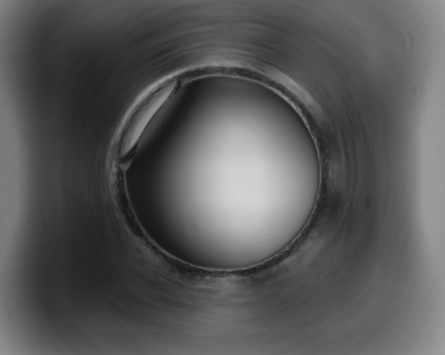 X0000099950926200805301233